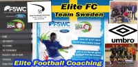 Elite FC SM vinnare Kamrat Futsal SM 2014
